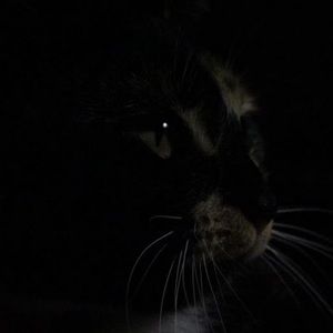 Meet your Posher, Nathaniel